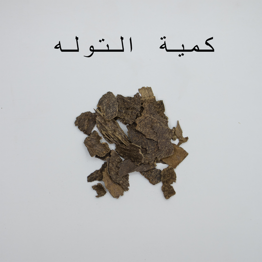 عود ميني جار تريبورا – صورة 2 – عود الهاشمي
