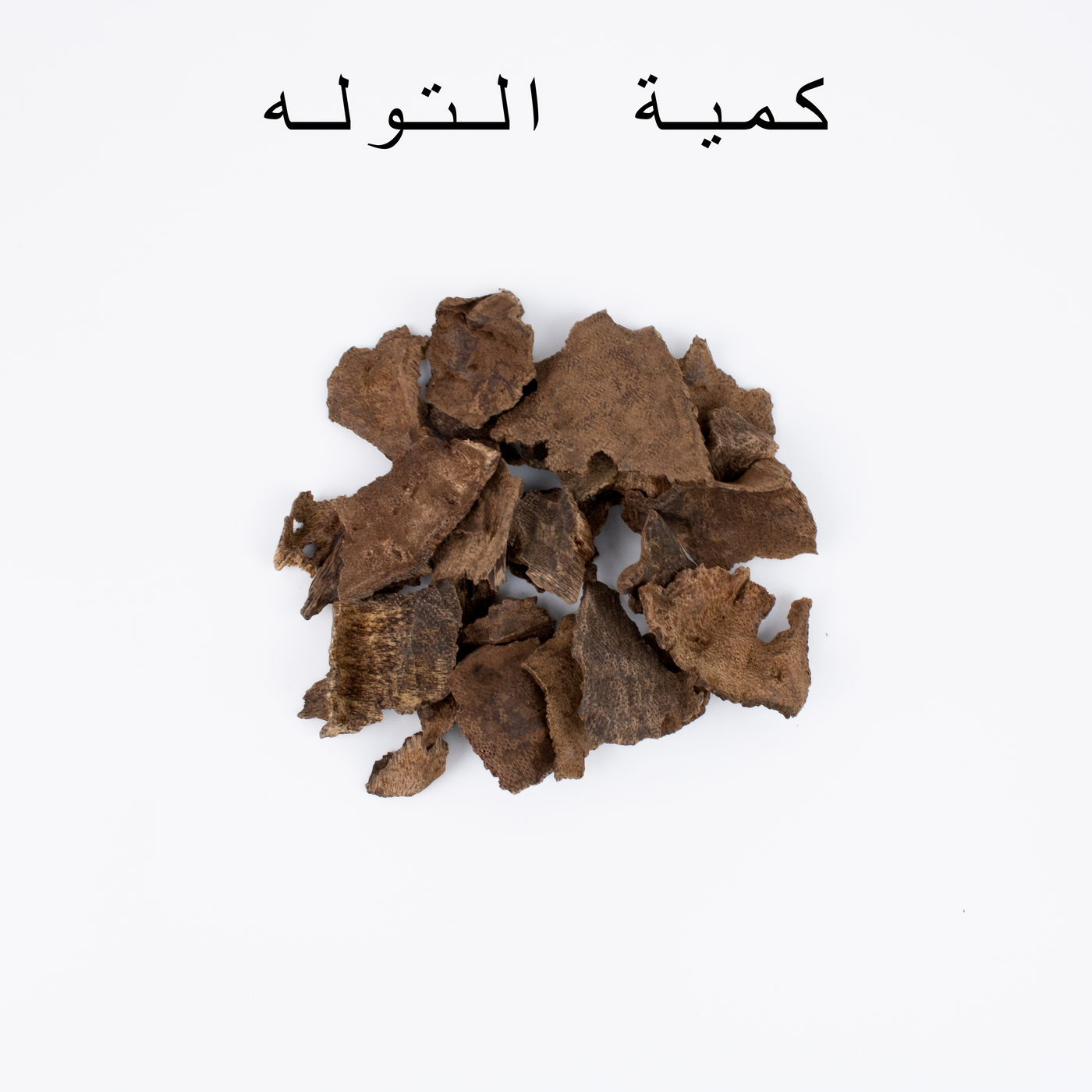 كسار جار تريبورا