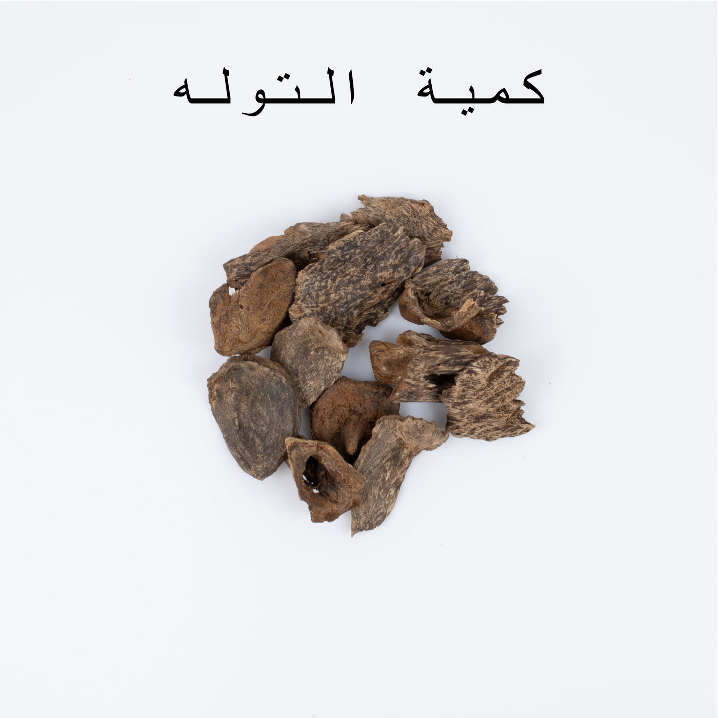 سيلاني قواقع ثقيل