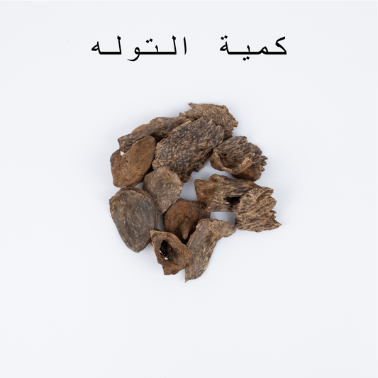 عود سيلاني قواقع ثقيل – صورة 2 – عود الهاشمي