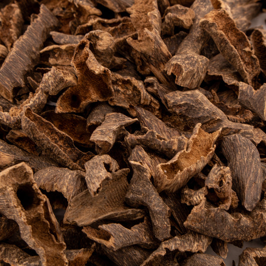 هندي بيبي فيزا موري نقوة