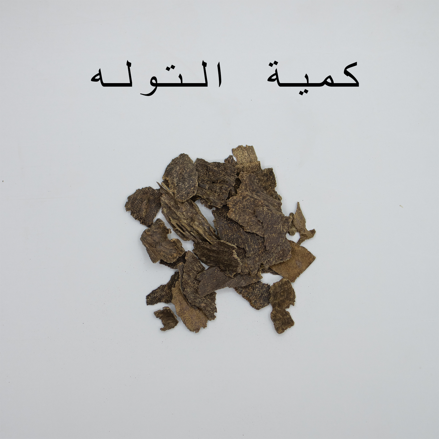 ميني جار تريبورا