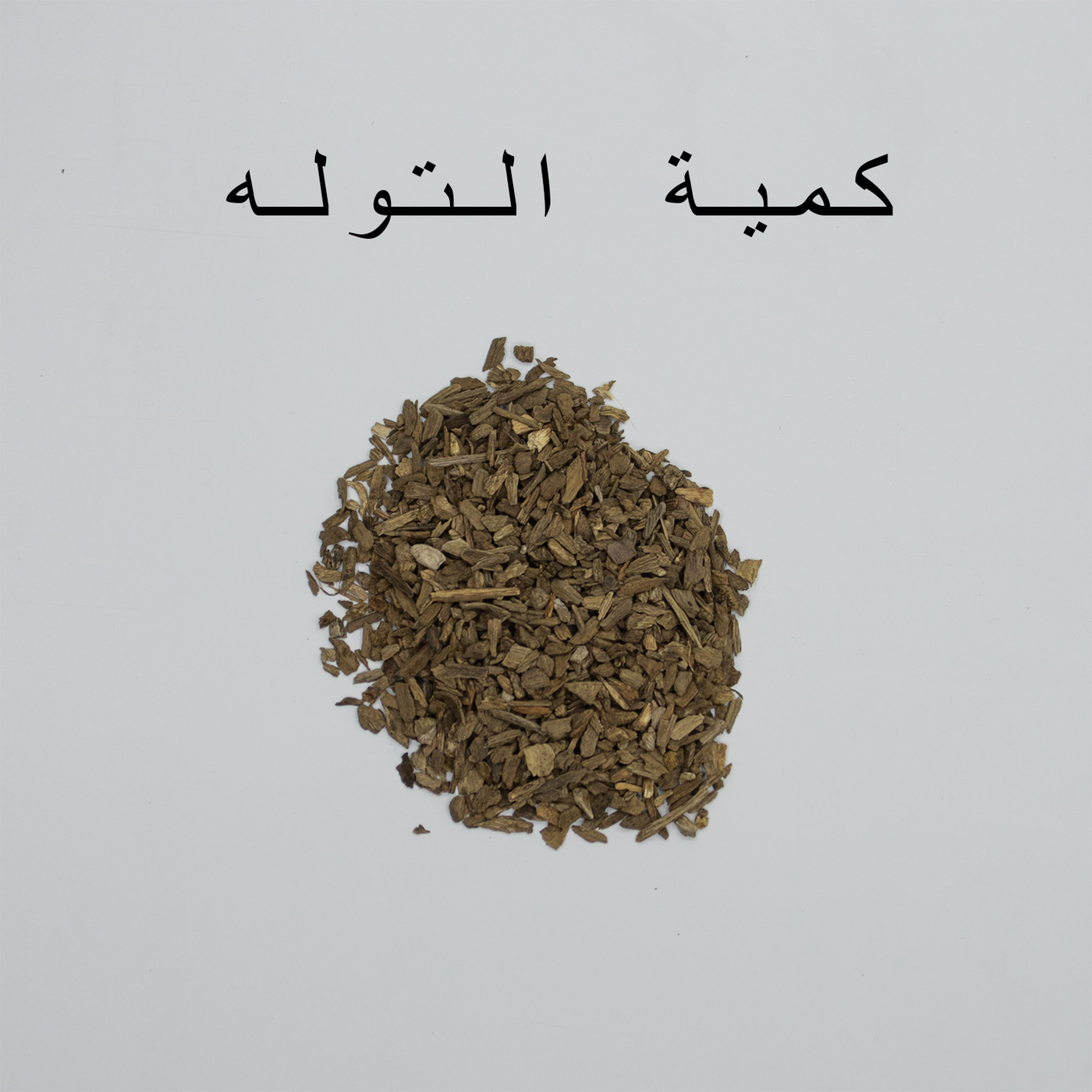 فلبيني دقه ميني